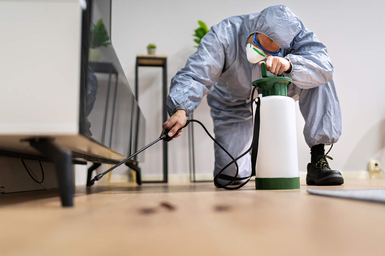 Pest control exterminator man spraying termite pesticide 1